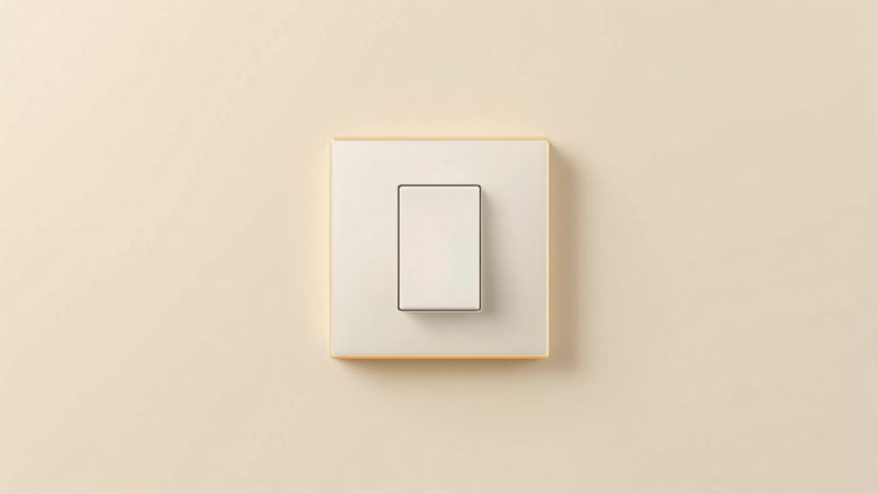 One-Way Switch - 6A